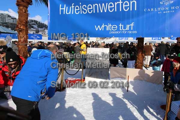 IMG 1301 prot