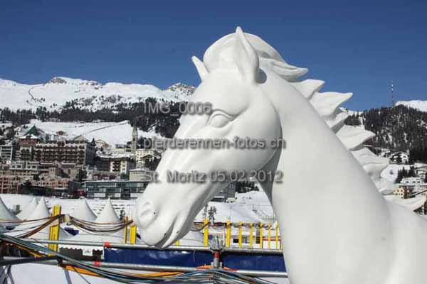 IMG 0006 prot