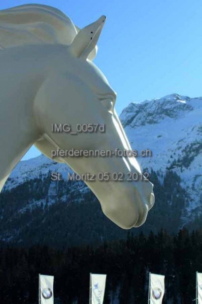 IMG 0057d prot