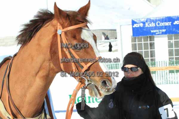 IMG 0068 prot