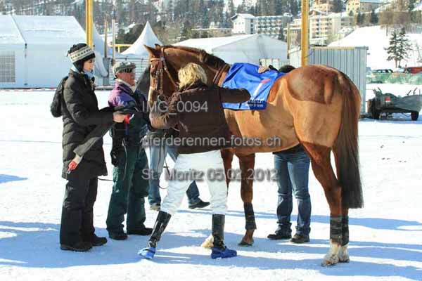 IMG 0094 prot