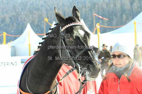 IMG 0123 prot