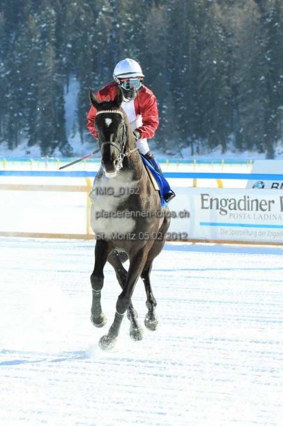 IMG 0162 prot
