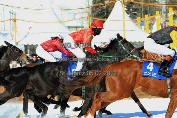 IMG 0170d prot