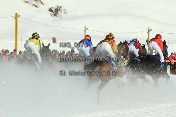 IMG 0175 prot