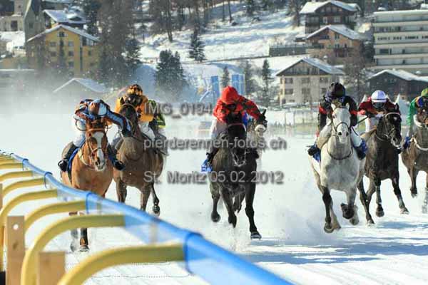 IMG 0194 prot