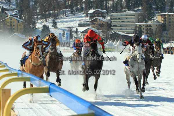 IMG 0198a prot