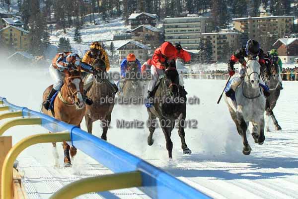 IMG 0200a prot