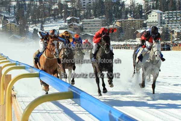 IMG 0202a prot
