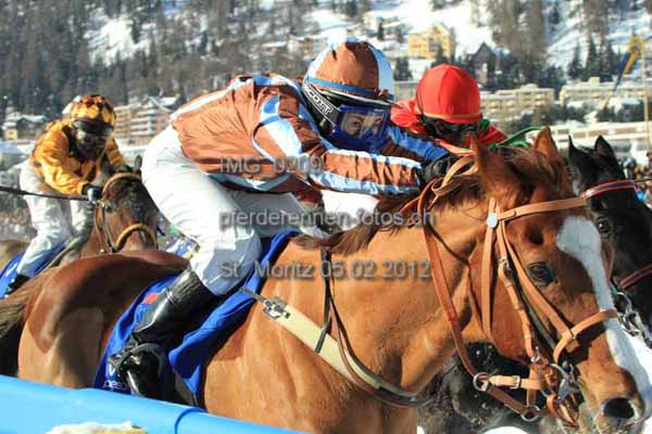 IMG 0209 prot