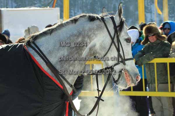IMG 0234 prot