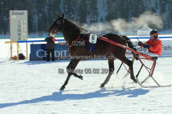 IMG 0256 prot