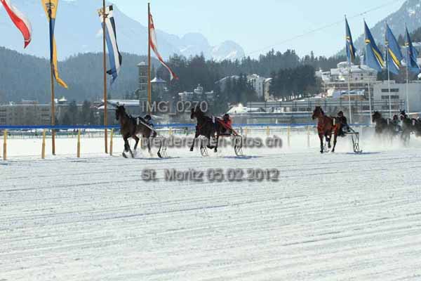 IMG 0270 prot
