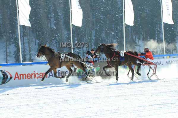 IMG 0273 prot