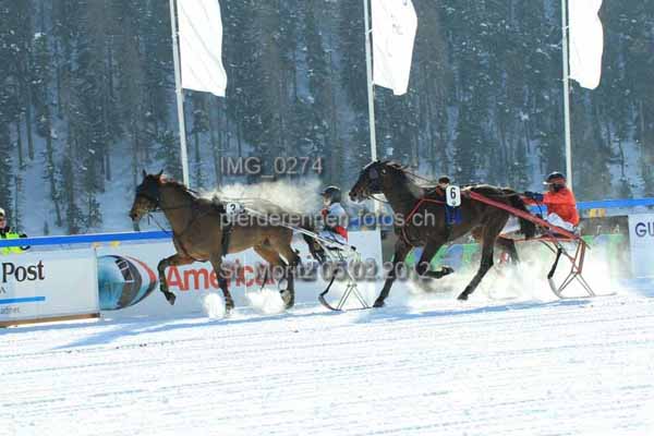 IMG 0274 prot