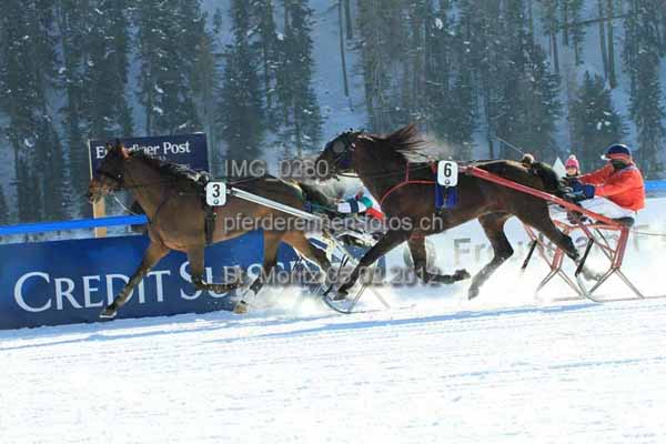 IMG 0280 prot