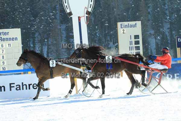 IMG 0284 prot