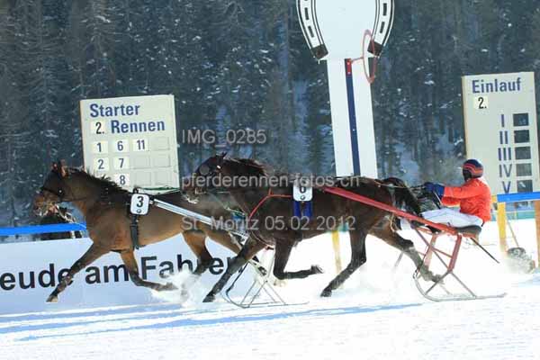 IMG 0285 prot