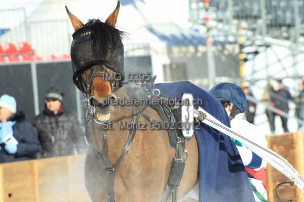 IMG 0295 prot