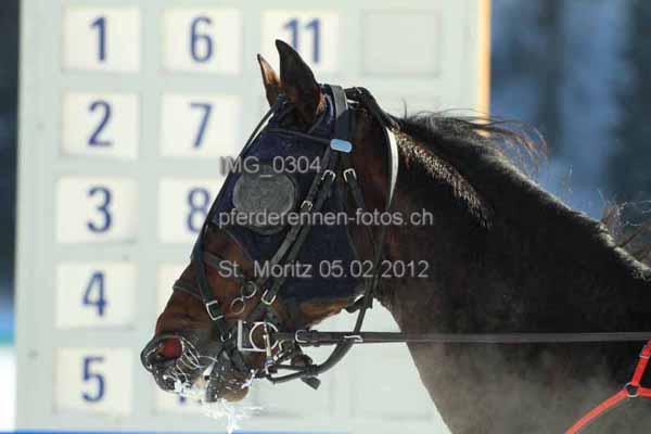 IMG 0304 prot