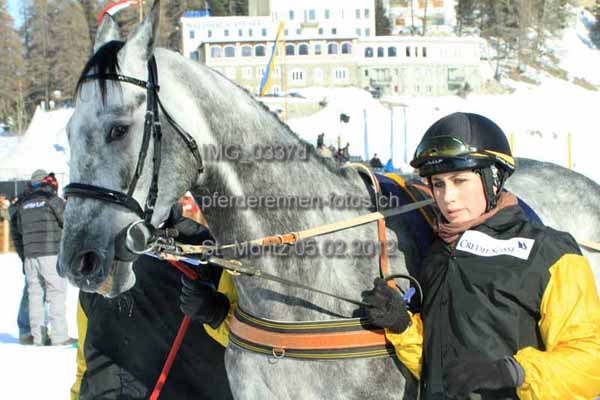 IMG 0337d prot