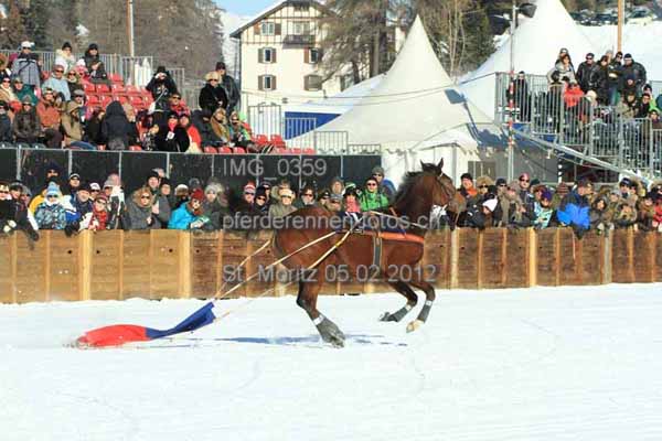 IMG 0359 prot
