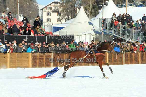 IMG 0360 prot