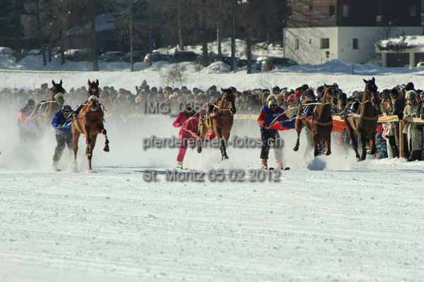 IMG 0364 prot