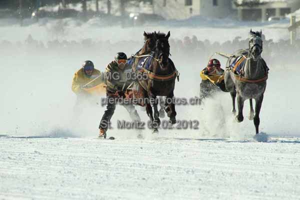 IMG 0365 prot