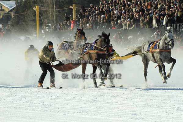 IMG 0372 prot