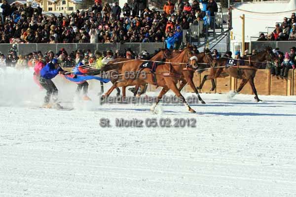 IMG 0378 prot