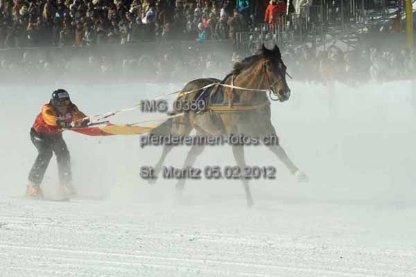 IMG 0380 prot