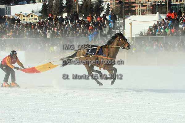 IMG 0383 prot