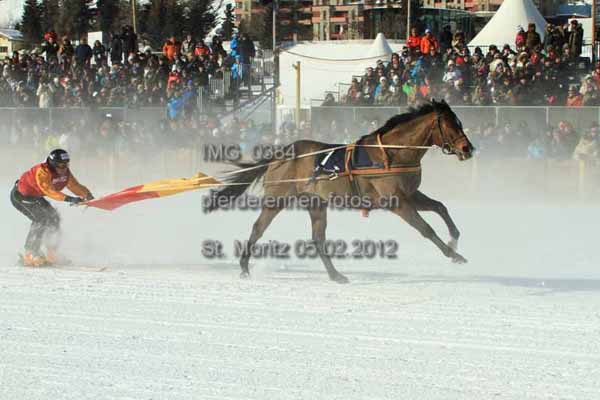 IMG 0384 prot