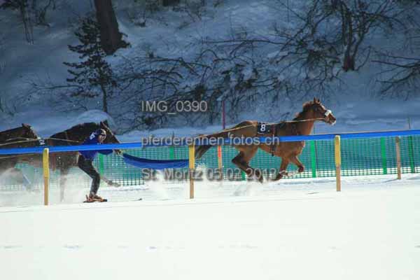 IMG 0390 prot