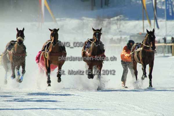 IMG 0391 prot