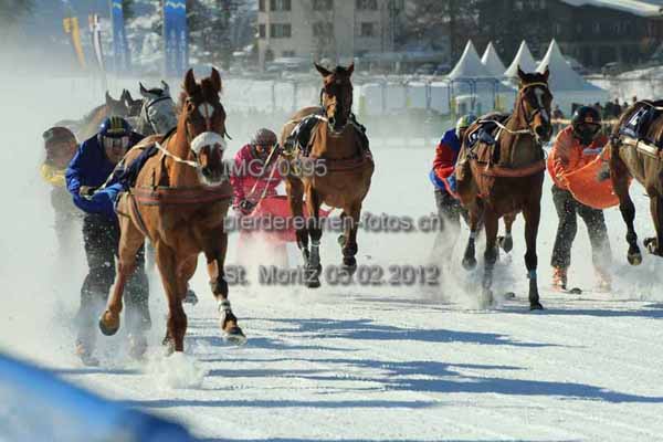 IMG 0395 prot