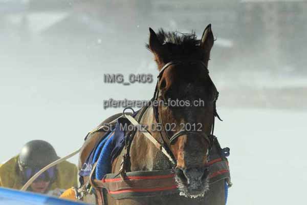 IMG 0406 prot