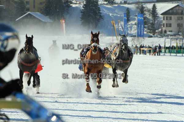 IMG 0409 prot
