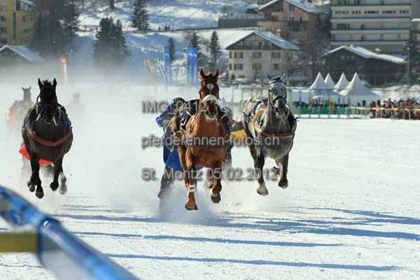 IMG 0412 prot