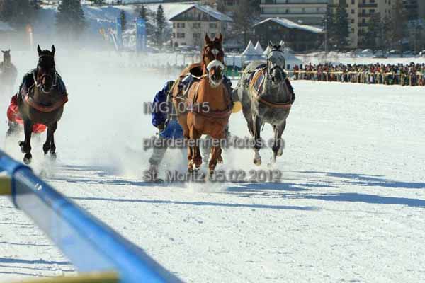 IMG 0415 prot