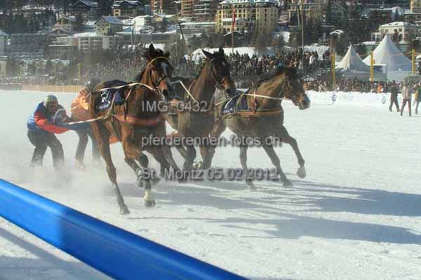 IMG 0432 prot