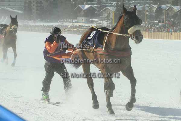 IMG 0435 prot