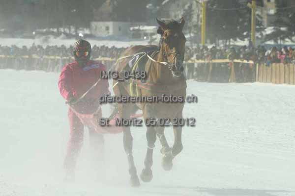 IMG 0438 prot