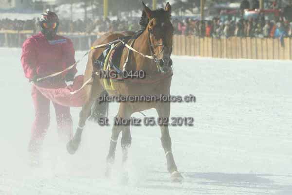 IMG 0440 prot