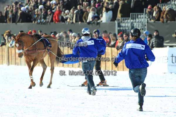 IMG 0445 prot