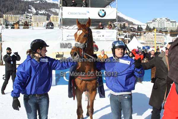 IMG 0461 prot