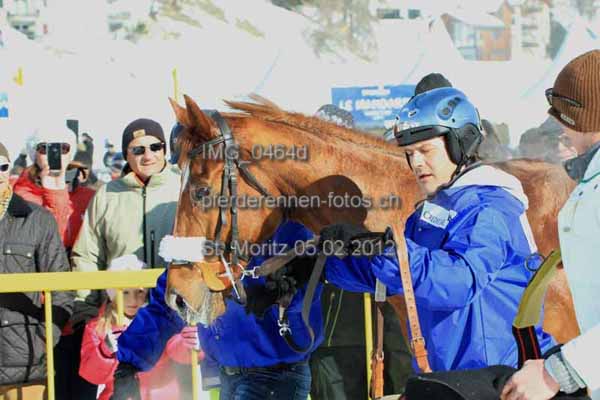 IMG 0464d prot