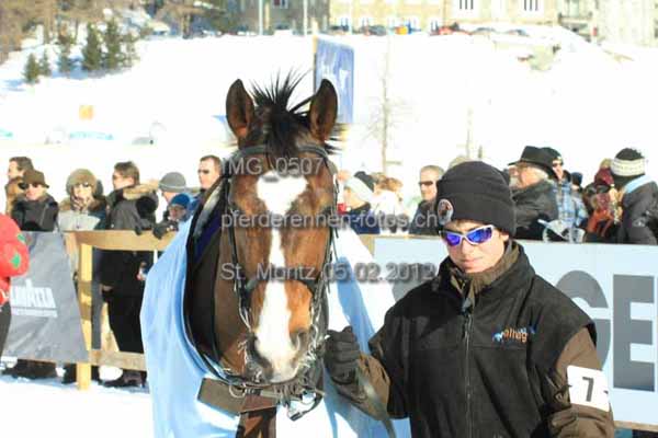 IMG 0507 prot
