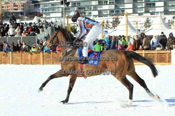 IMG 0550 prot
